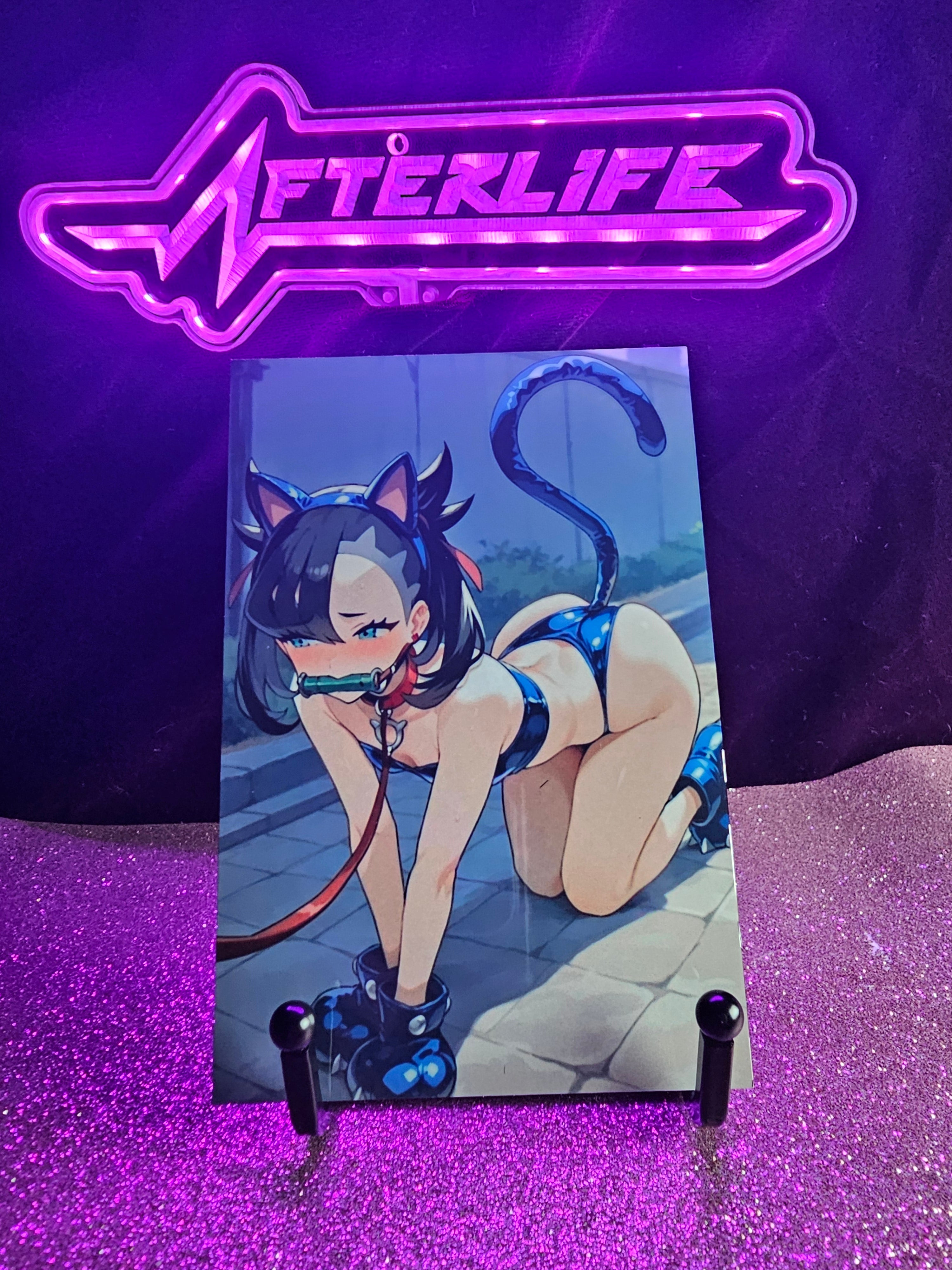 Marnie Pokémon 4x6 metal plaque