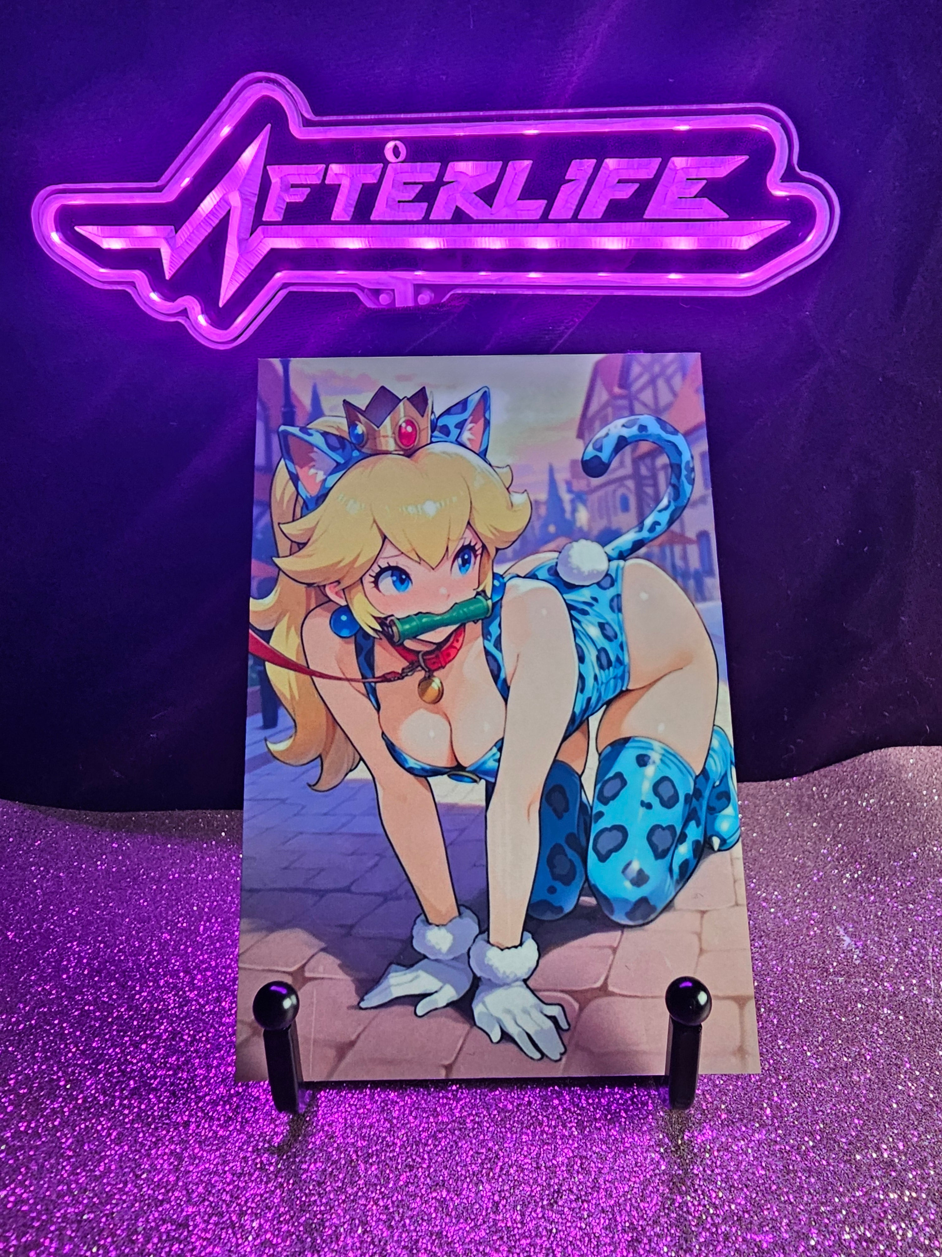 Princess Peach 4x6 metal plaque